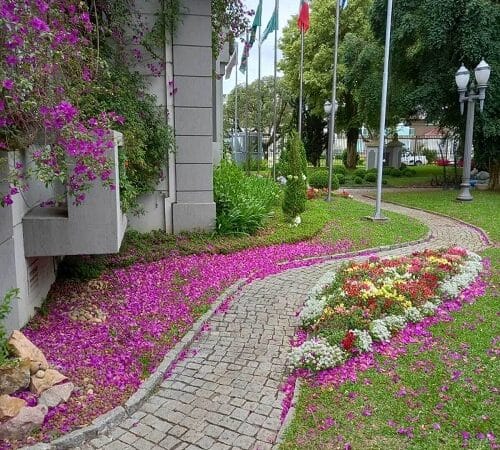 Jardinagem mensal em empresa no Jardim das Américas