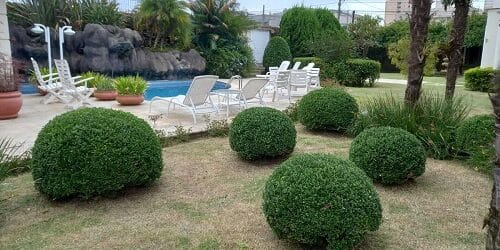 Jardim com buchinhos no Batel